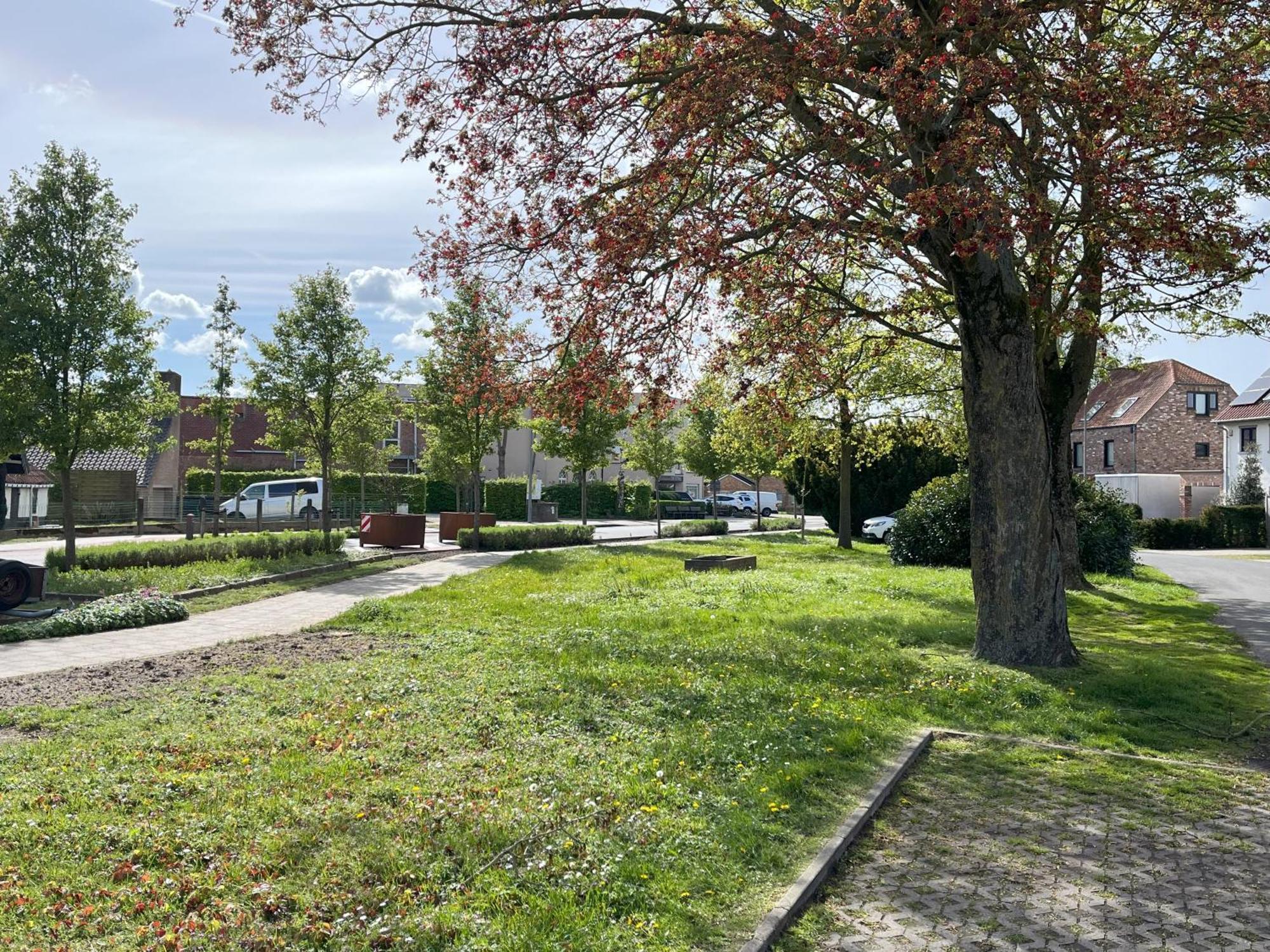 Cedrus Panzió Jabbeke Kültér fotó